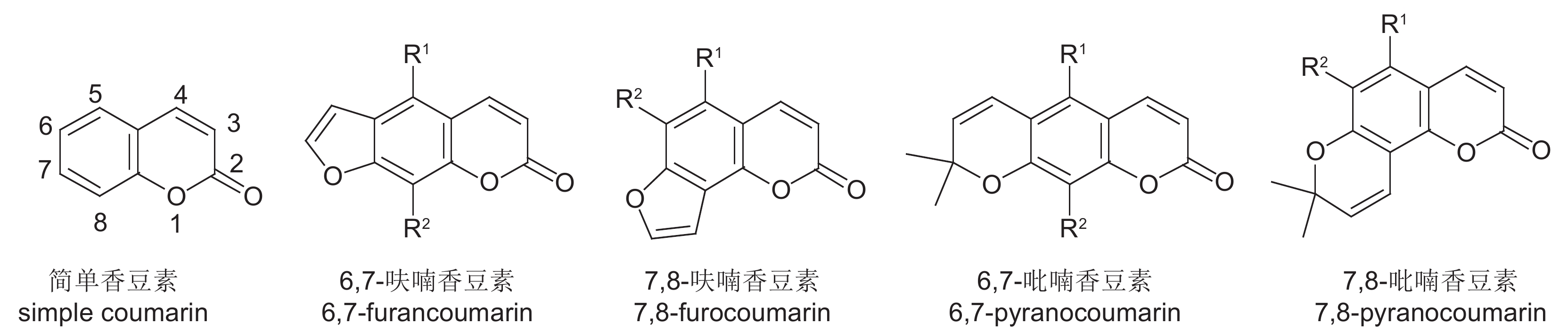 香豆素化合物的骨架结构