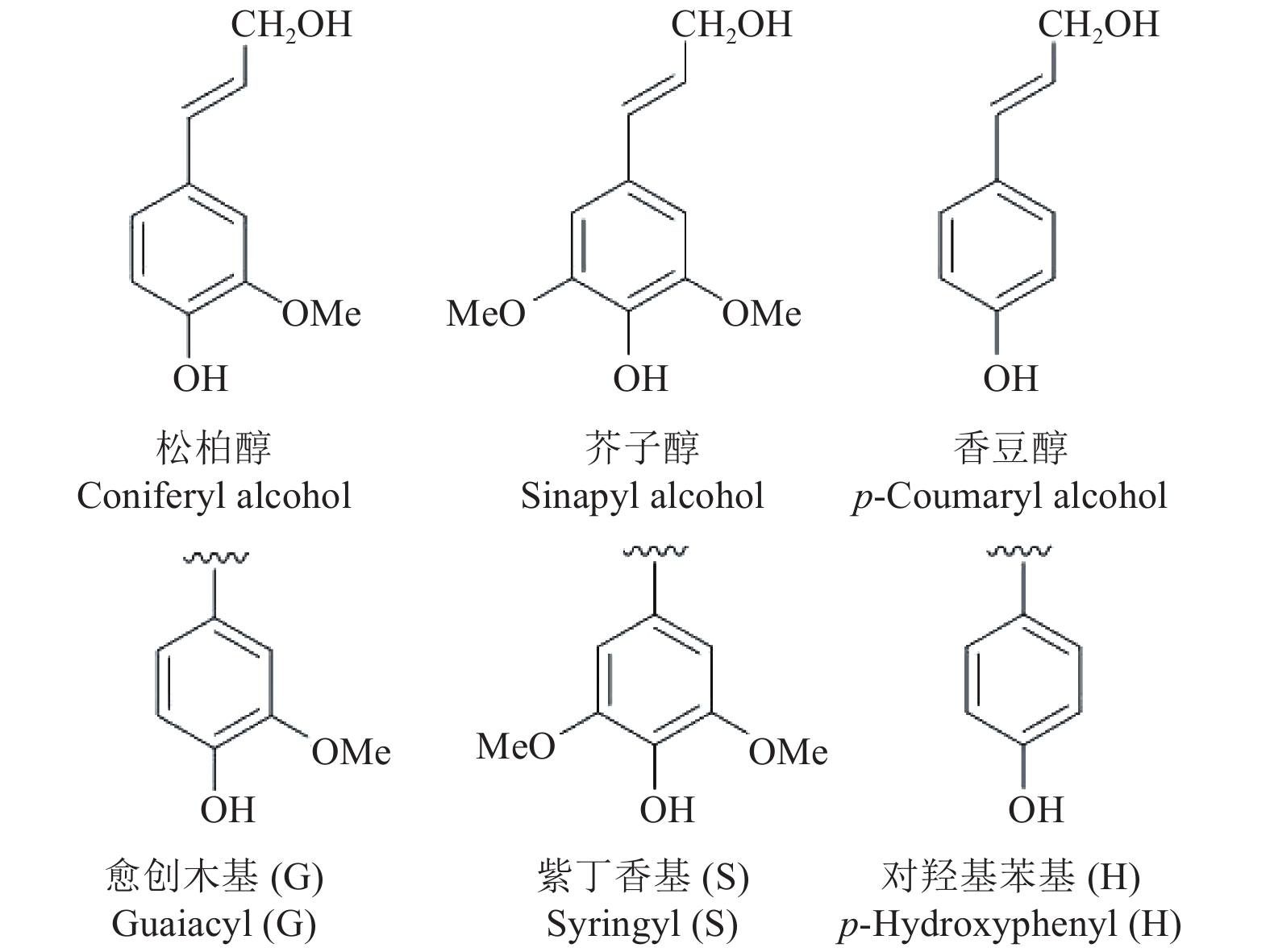 图                     木质素的3种单体分子结构