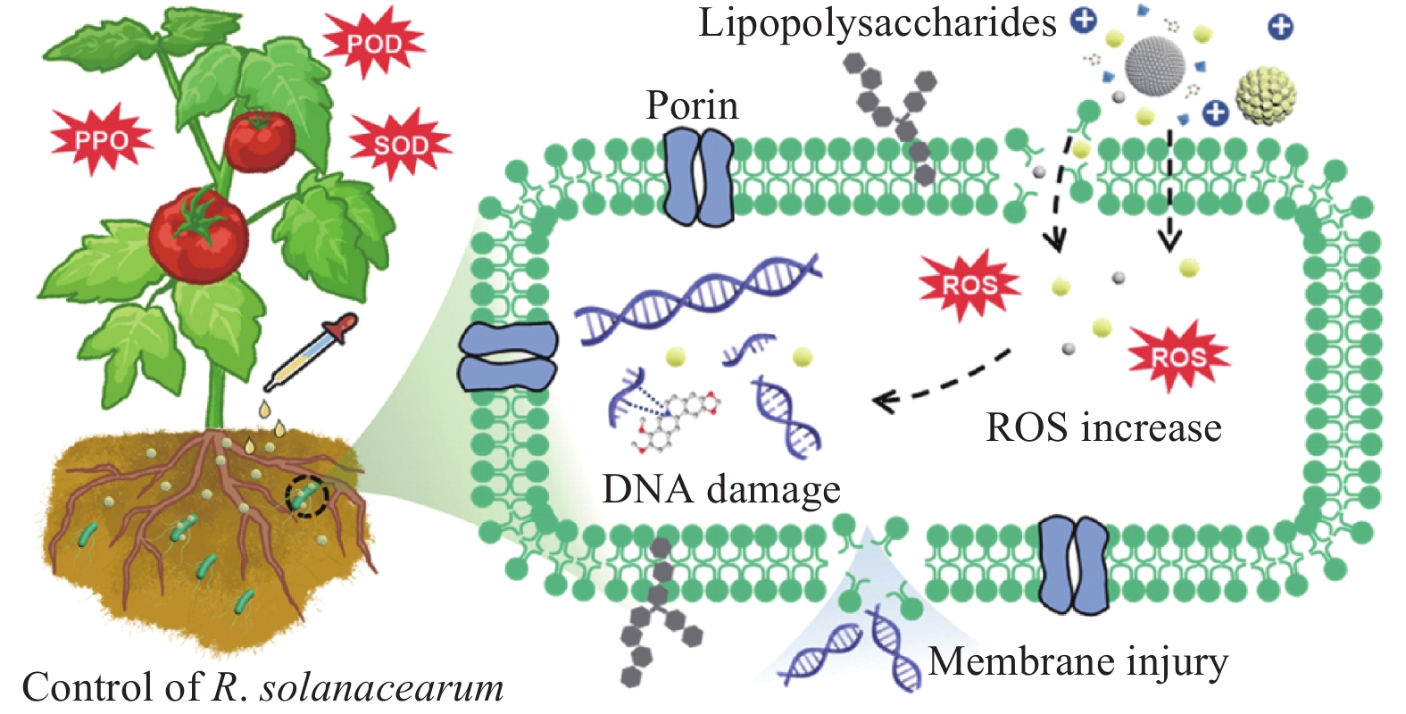 金属有机骨架ZIF-8材料作为农药载体的研究进展